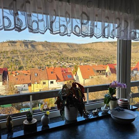 Unter Dem Fuchsturm Daire Jena Dış mekan fotoğraf